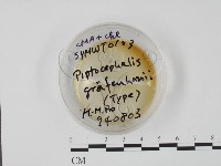 登錄號:F0018433藏品圖，第1張