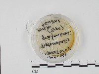 登錄號:F0018433藏品圖，第6張