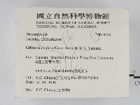 登錄號:F0018434藏品圖，第2張