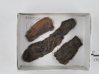 登錄號:F0018434藏品圖，第1張