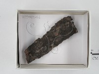 登錄號:F0018435藏品圖，第1張