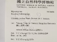 登錄號:F0018436藏品圖，第2張