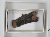 登錄號:F0018437藏品圖，第1張