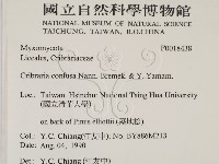 館號:F0018438藏品圖，第2張
