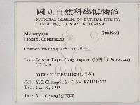 登錄號:F0018441藏品圖，第2張