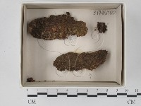 登錄號:F0018441藏品圖，第1張