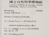 登錄號:F0018444藏品圖，第2張