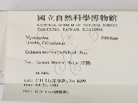 登錄號:F0018446藏品圖，第2張