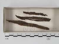 登錄號:F0018446藏品圖，第1張