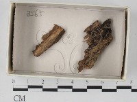 登錄號:F0018447藏品圖，第1張