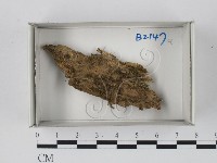 登錄號:F0018450藏品圖，第1張