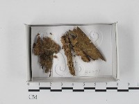 登錄號:F0018451藏品圖，第1張
