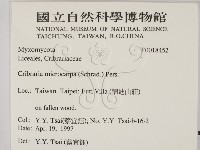 登錄號:F0018452藏品圖，第2張