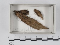 登錄號:F0018452藏品圖，第1張