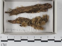 登錄號:F0018453藏品圖，第1張