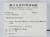 登錄號:F0018454藏品圖，第2張