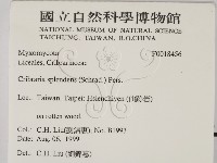 登錄號:F0018456藏品圖，第2張