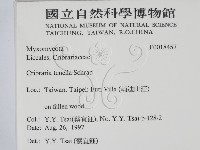 登錄號:F0018457藏品圖，第2張