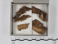 登錄號:F0018458藏品圖，第1張