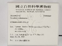 館號:F0018460藏品圖，第2張