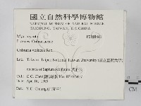登錄號:F0018461藏品圖，第2張