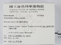 登錄號:F0018463藏品圖，第2張