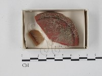 登錄號:F0018463藏品圖，第1張