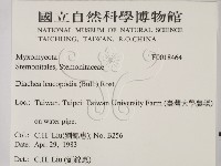 登錄號:F0018464藏品圖，第2張