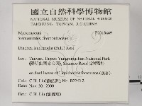 登錄號:F0018469藏品圖，第2張