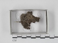 登錄號:F0018469藏品圖，第1張