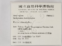 登錄號:F0018472藏品圖，第2張