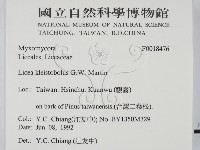 登錄號:F0018476藏品圖，第2張