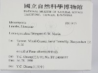 登錄號:F0018477藏品圖，第2張