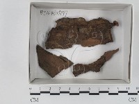 登錄號:F0018477藏品圖，第1張