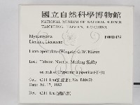 登錄號:F0018479藏品圖，第2張
