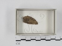 登錄號:F0018481藏品圖，第1張