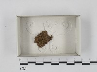登錄號:F0018483藏品圖，第1張
