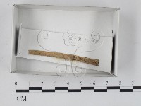 館號:F0018484藏品圖，第1張