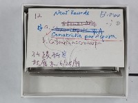 登錄號:F0018485藏品圖，第3張