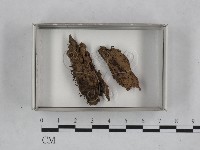 登錄號:F0018486藏品圖，第1張