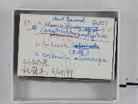 登錄號:F0018486藏品圖，第3張