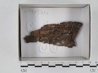 登錄號:F0018487藏品圖，第1張