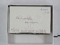 登錄號:F0018487藏品圖，第3張