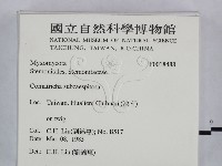 登錄號:F0018488藏品圖，第2張