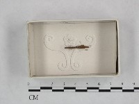 登錄號:F0018488藏品圖，第1張