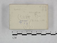 登錄號:F0018488藏品圖，第3張