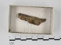 登錄號:F0018489藏品圖，第1張