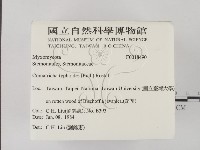登錄號:F0018490藏品圖，第2張