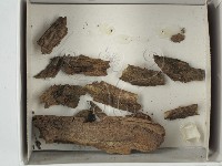 登錄號:F0018490藏品圖，第1張