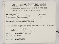 登錄號:F0018491藏品圖，第2張